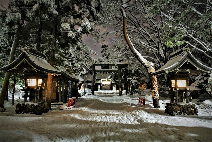 冬の夜の琴似神社