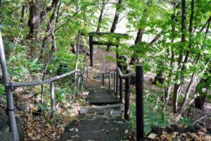 上山鼻神社の参道の石段