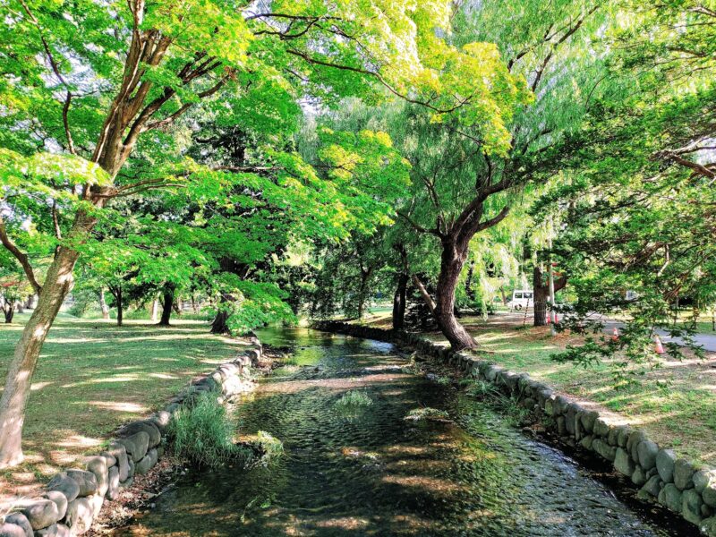 札幌護国神社境内を流れる鴨々川