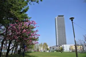 発寒河畔公園その３