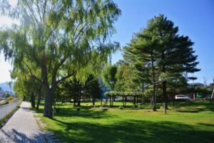 夏の発寒川公園