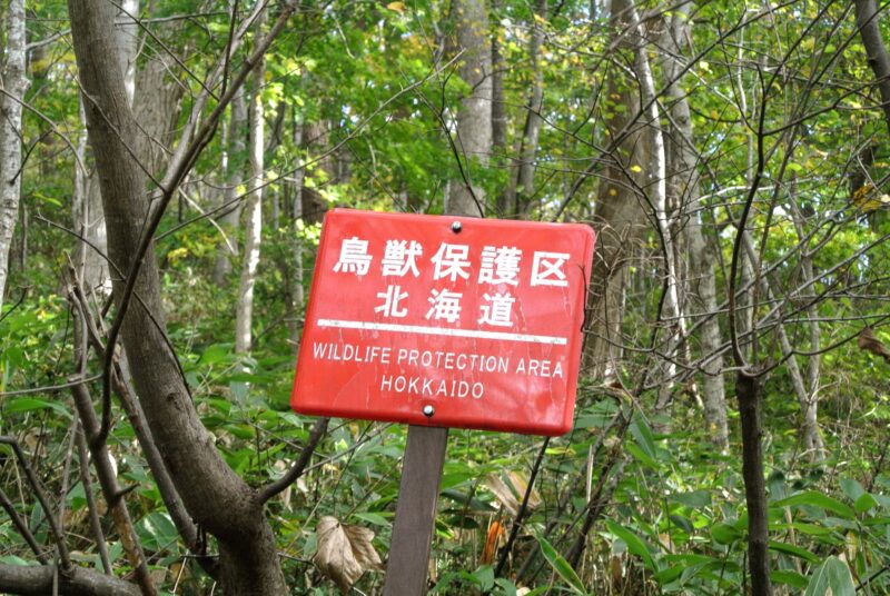 円山原生林の鳥獣保護区看板