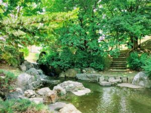 西野緑道の左水無川