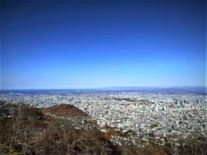 藻岩山から見た円山