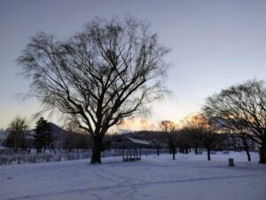 冬の発寒川公園