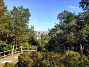 宮丘公園の夏の見晴広場