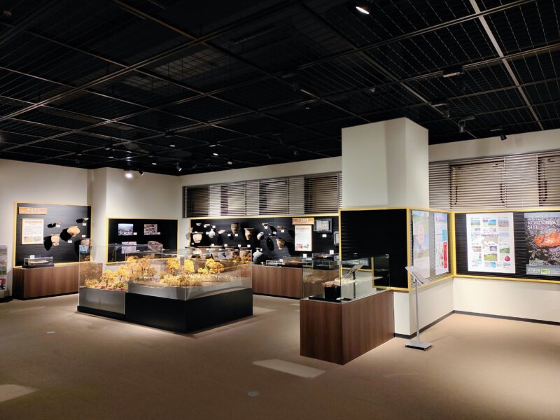 札幌市埋蔵文化財センターの展示室（遠景）