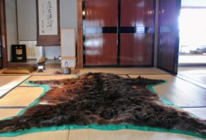 ヒグマの毛皮の敷物