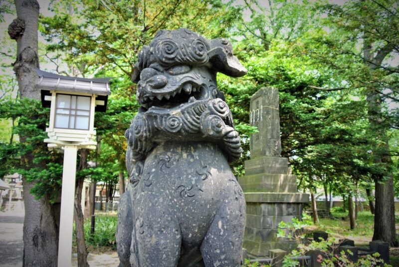 新琴似神社の狛犬