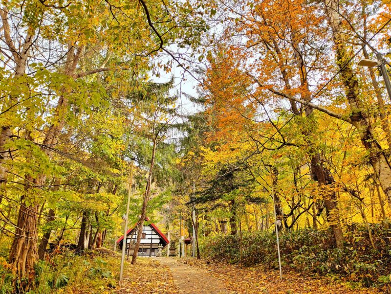 秋の定山渓神社の参道