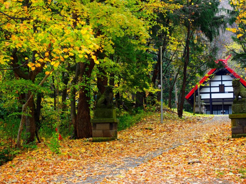 秋の定山渓神社境内