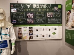 北海道大学獣医学部の紹介