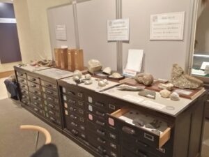 感じる展示室の標本展示