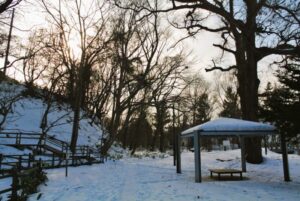 冬の精進河畔公園