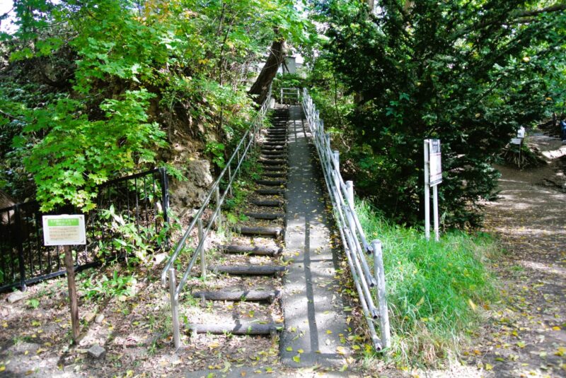 精進河畔公園の連絡階段