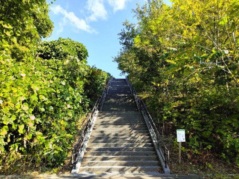 宮丘公園の見晴広場へ向かう階段