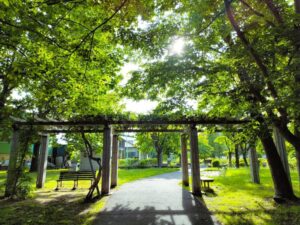 新緑の西野緑道
