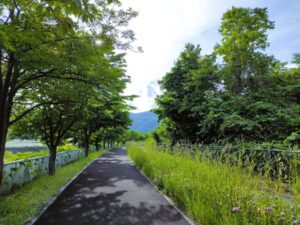 発寒川緑地から続く遊歩道