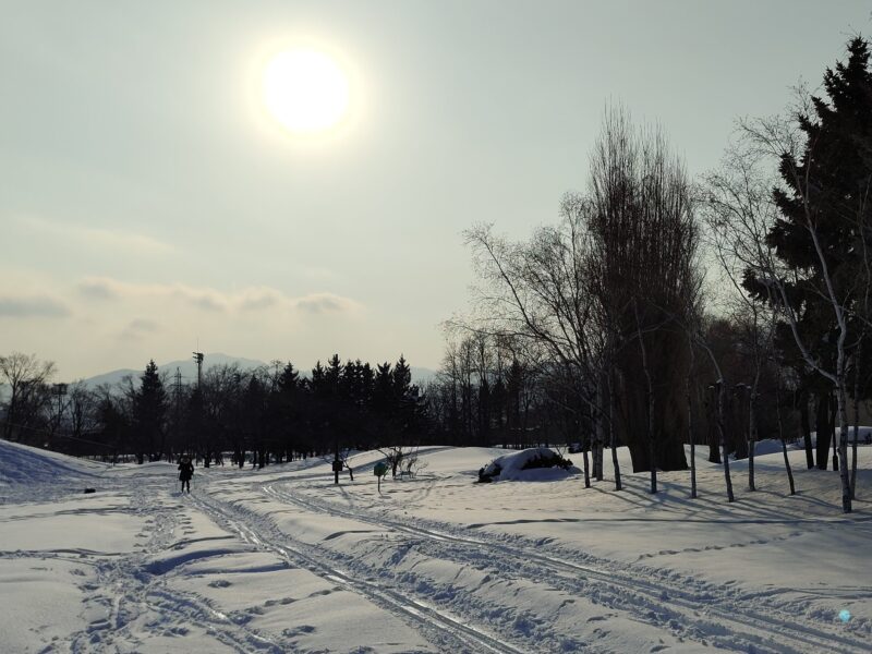 冬の農試公園の様子