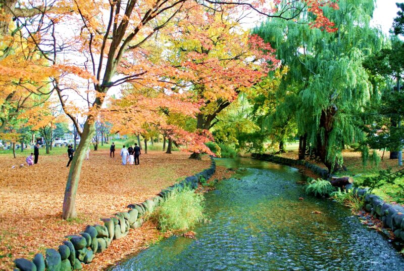 秋の札幌護国神社の境内を流れる鴨々川