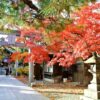 秋の札幌市の彌彦神社の境内