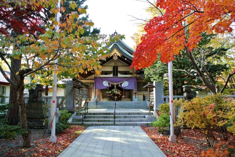 秋の彌彦神社の社殿と参道