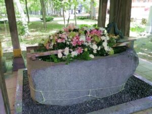 夏の彌彦神社の花手水