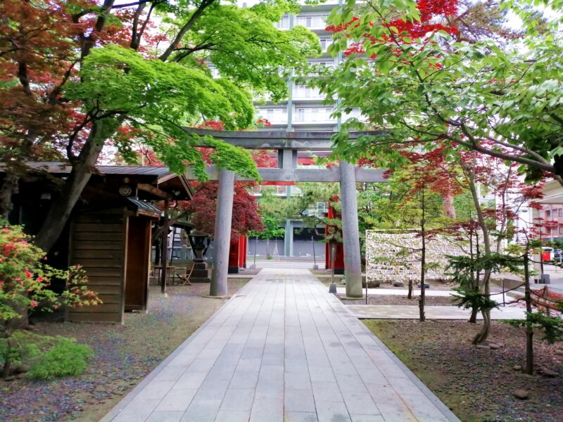 弥彦神社の社殿側から第二鳥居と第一鳥居を眺める