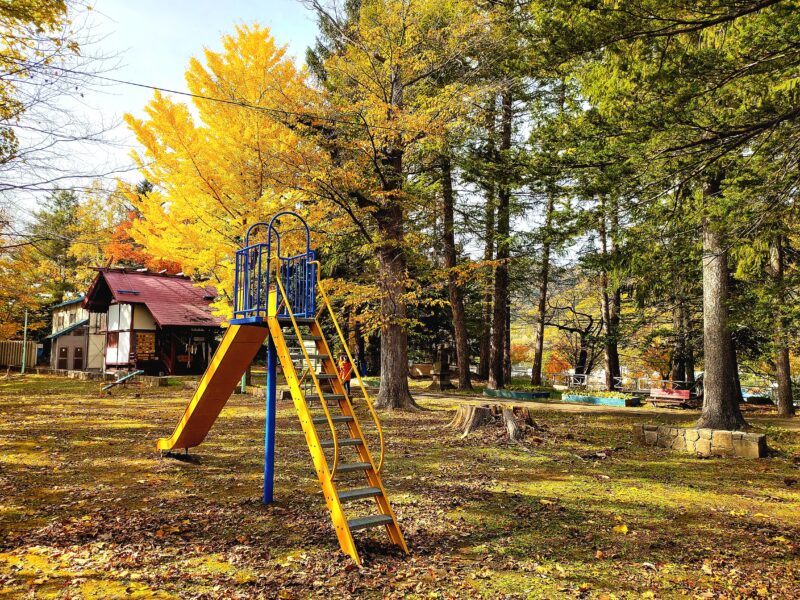 秋の花岡神社の境内と公園
