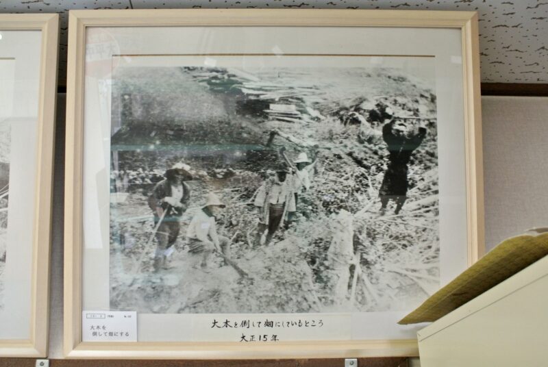 篠路烈々布郷土資料館に展示の大正末期の開拓の様子を写した写真