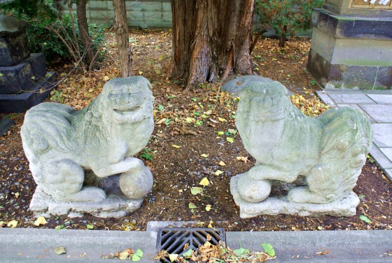 参道脇の地面に鎮座する水天宮（札幌水天宮）の狛犬