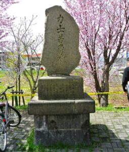 新川さくら並木にある力士若勇碑