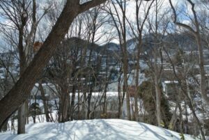 宮の森緑地の冬（円山方面）