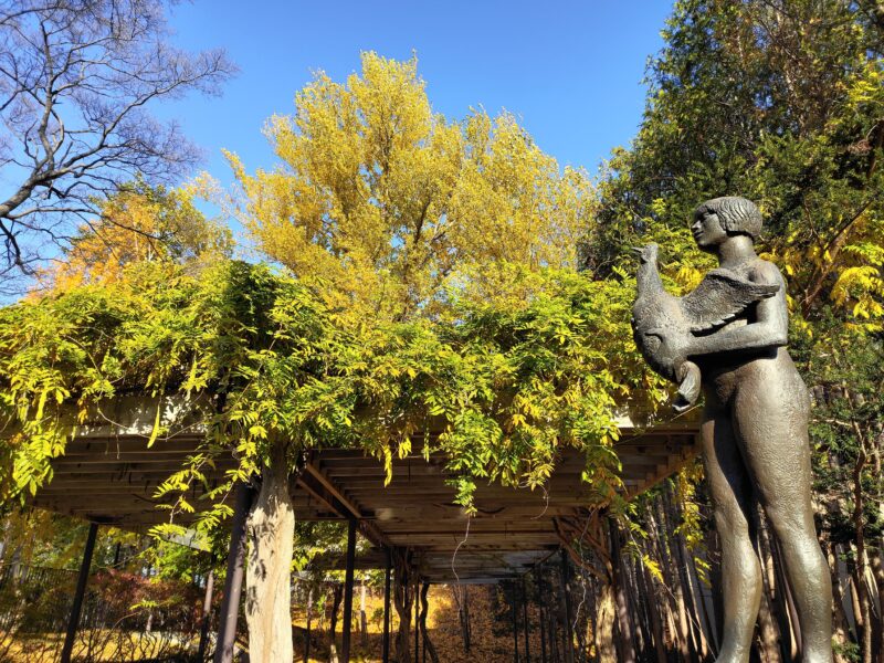 宮の森緑地の入口（彫刻美術館側）の秋