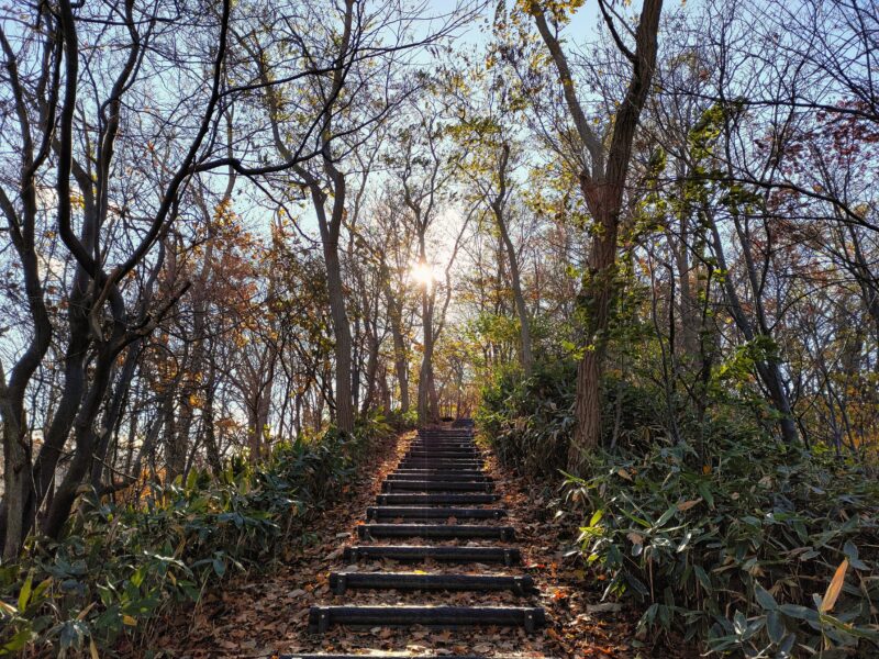 宮の森緑地の階段（宮の森フランセス協会側
）の秋