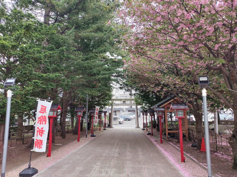 桜の時期の発寒神社の参道