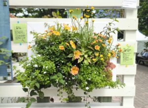 花フェスタ札幌2024　６丁目会場　ハンギングのある風景の作品