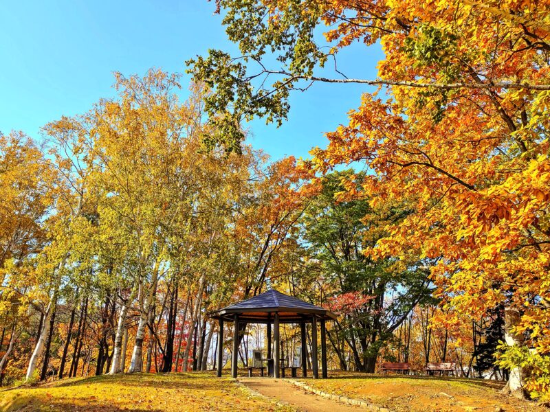 秋の月寒公園