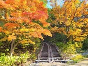 月寒公園の紅葉
