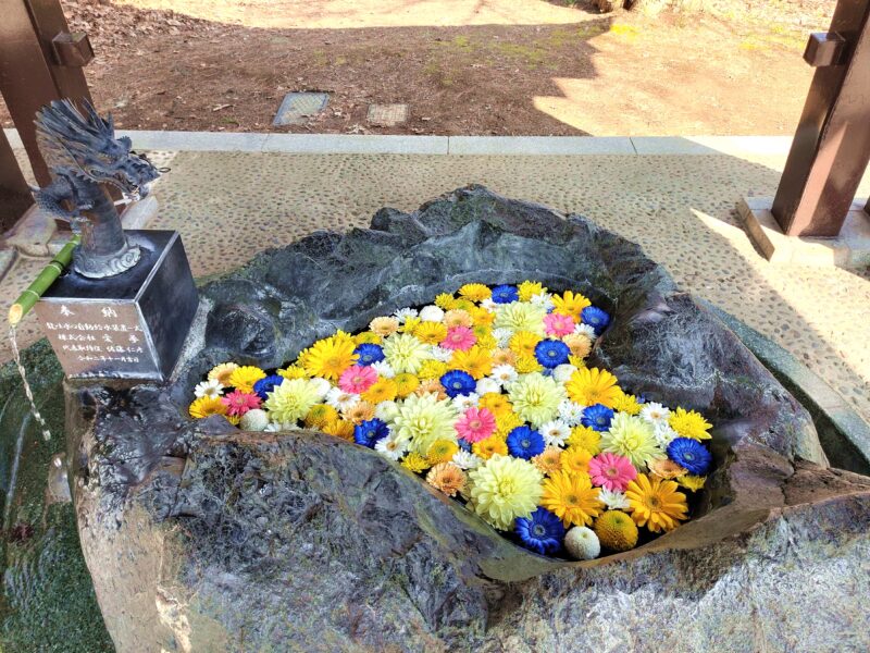 月寒神社の花手水
