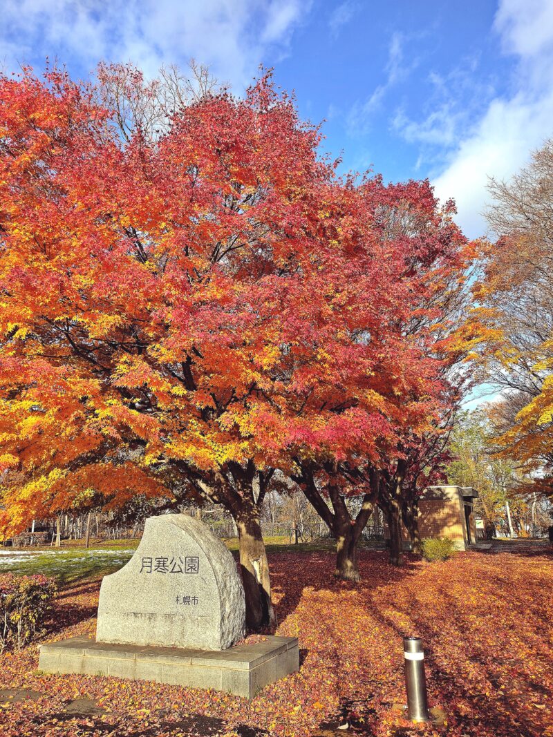 秋の月寒公園の入口