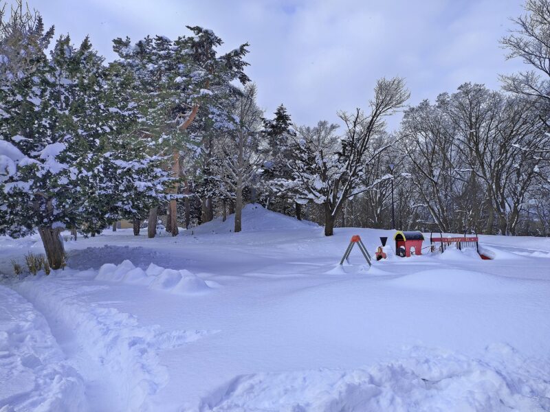 冬の月寒公園