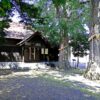 中の島神社の社殿とご神木