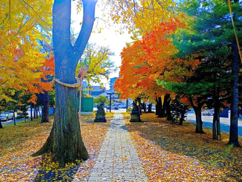 秋の中の島神社の境内