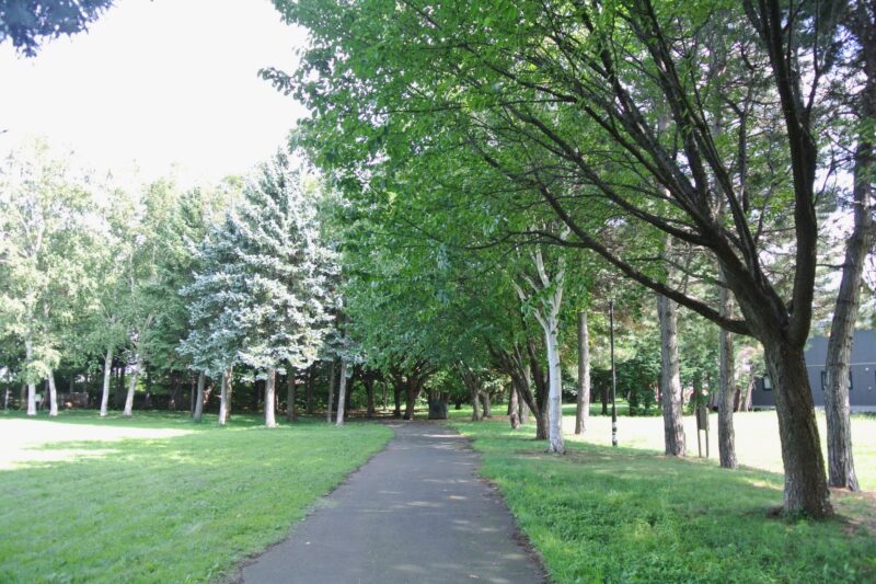 発寒西陵公園の園内