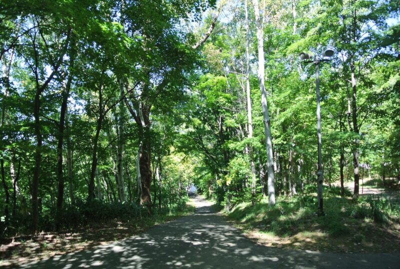 旭山記念公園の園内