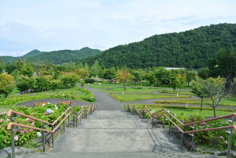 花園の丘の階段