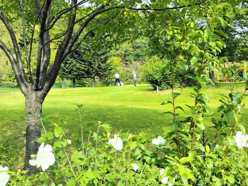 五天山公園のパークゴルフ場