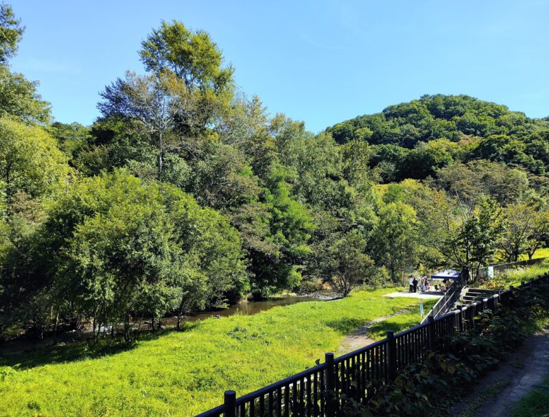 左股川の河川敷