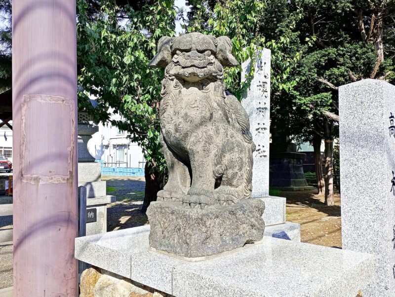 札幌村神社の狛犬（吽形）